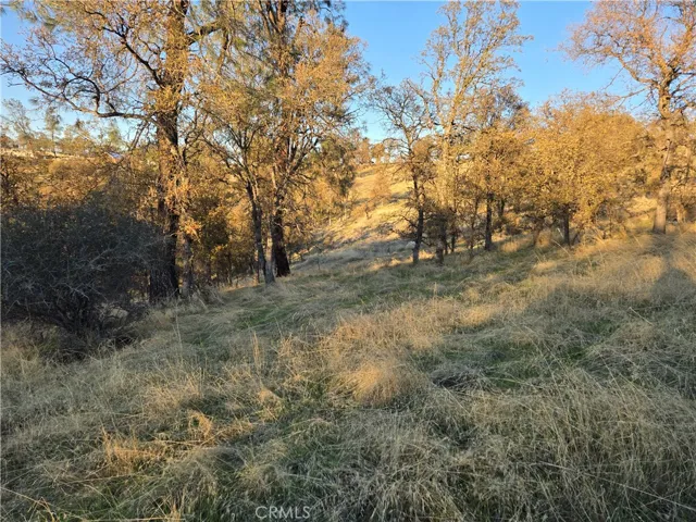 0 Avacado Road, Bangor, California 95914
