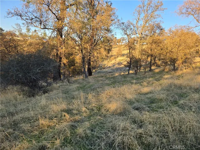 0 Avacado Road, Bangor, California 95914