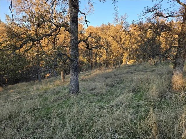 0 Avacado Road, Bangor, California 95914