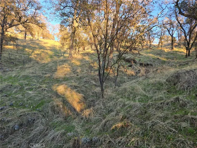 0 Avacado Road, Bangor, California 95914