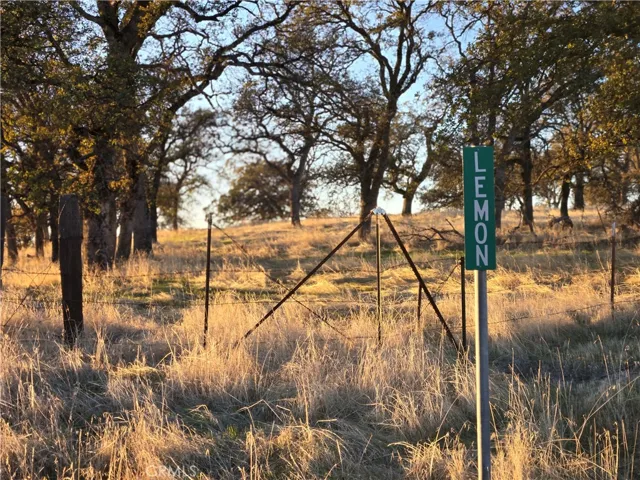 0 Avacado Road, Bangor, California 95914
