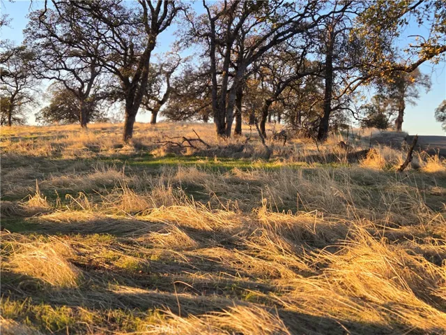 0 Avacado Road, Bangor, California 95914