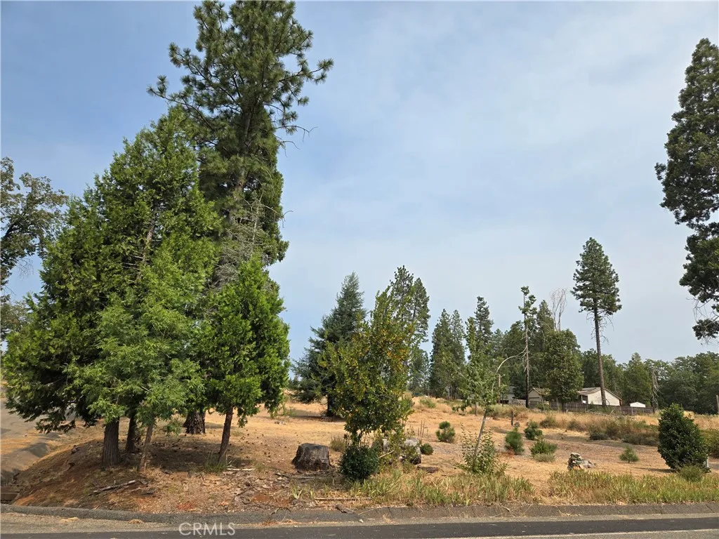 13549 S Park, Magalia, California 95954 — photo 4
