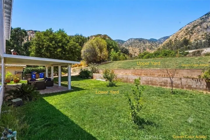 AI enhanced photo of backyard