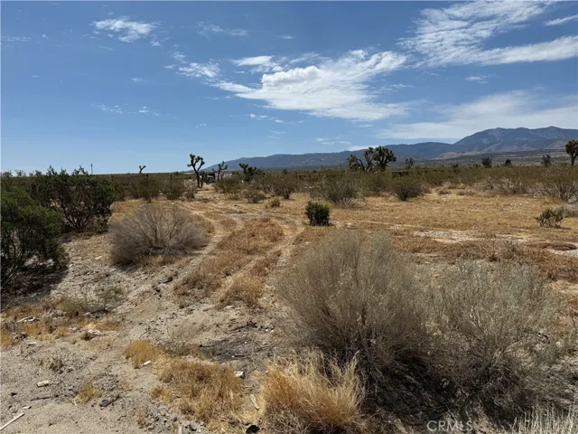 0 Pb Hwy Vic 187th Street E, Llano, California 93544