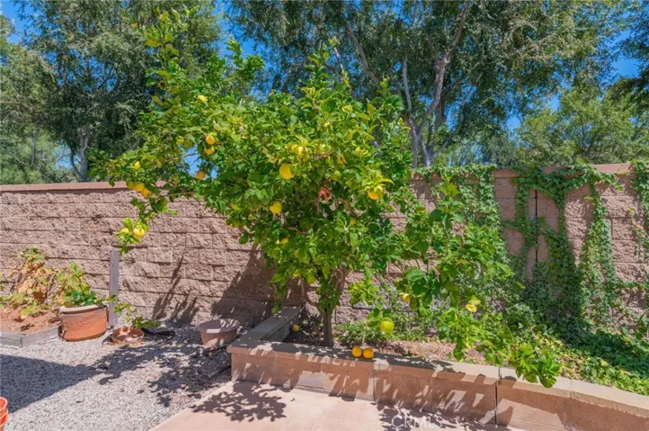 36 Trailing Ivy, Irvine, California 92620