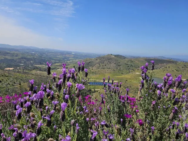 13155 Mcnally Road, Valley Center, California 92082