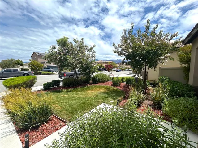 Front Lawn