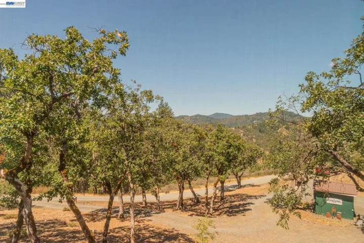 600 Top Of The Grade, Douglas City, California 96024-0000