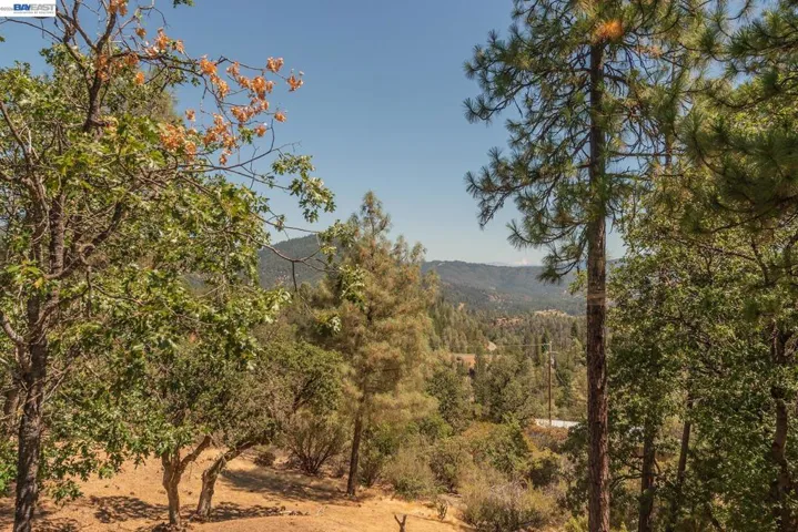 600 Top Of The Grade, Douglas City, California 96024-0000