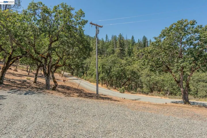 600 Top Of The Grade, Douglas City, California 96024-0000