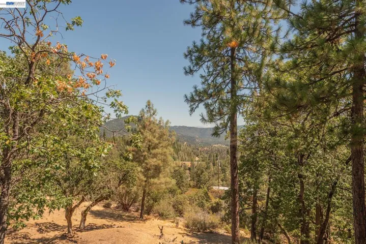 600 Top Of The Grade, Douglas City, California 96024-0000
