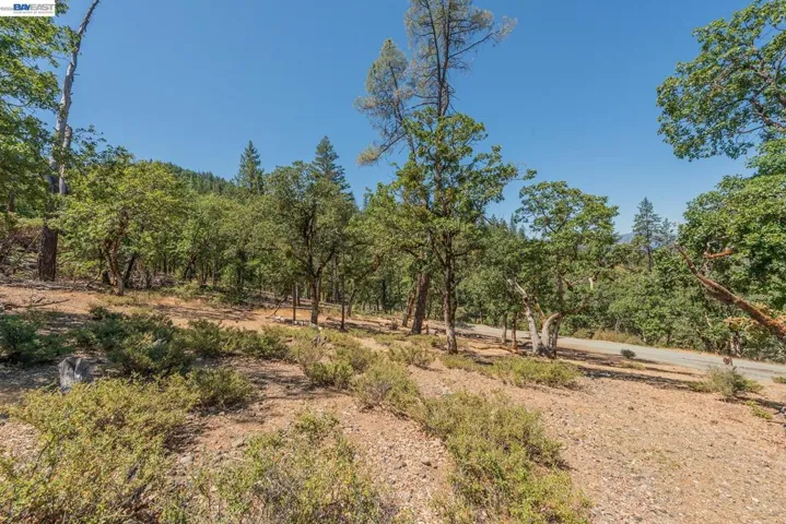 600 Top Of The Grade, Douglas City, California 96024-0000