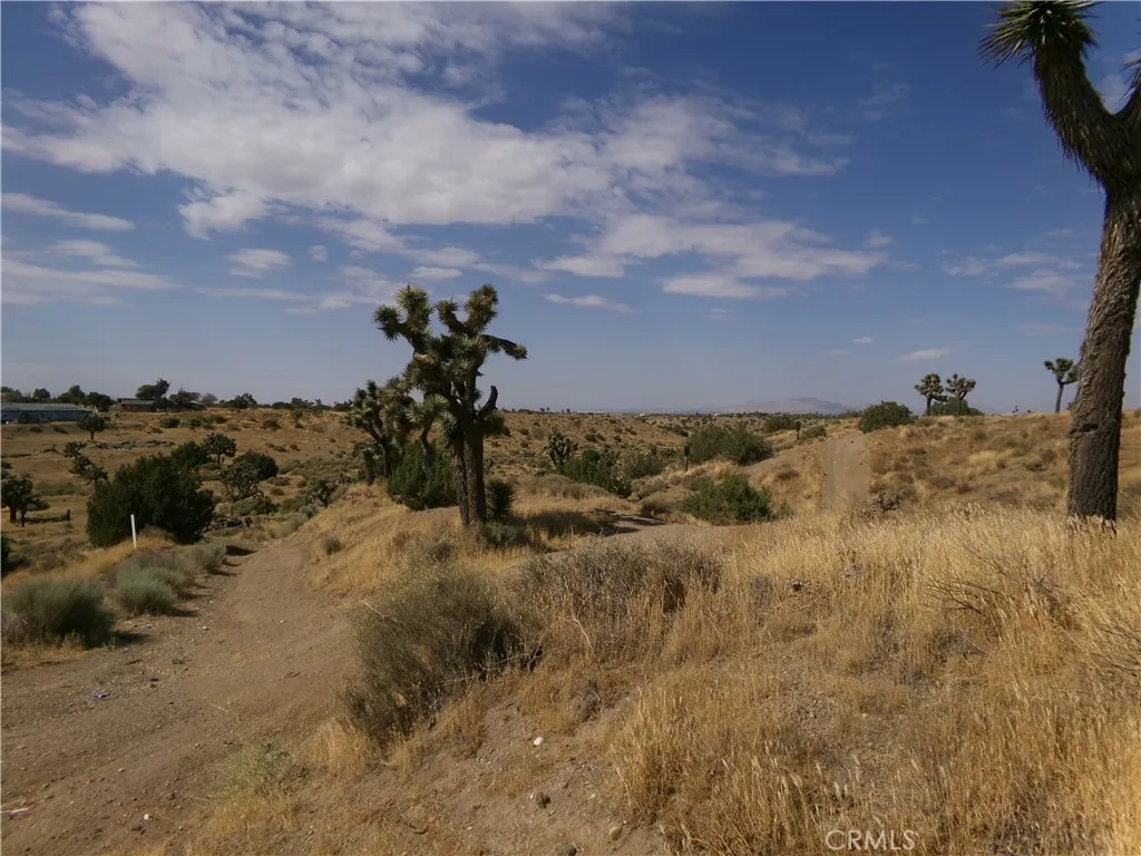 Typical topography - drainage easement area