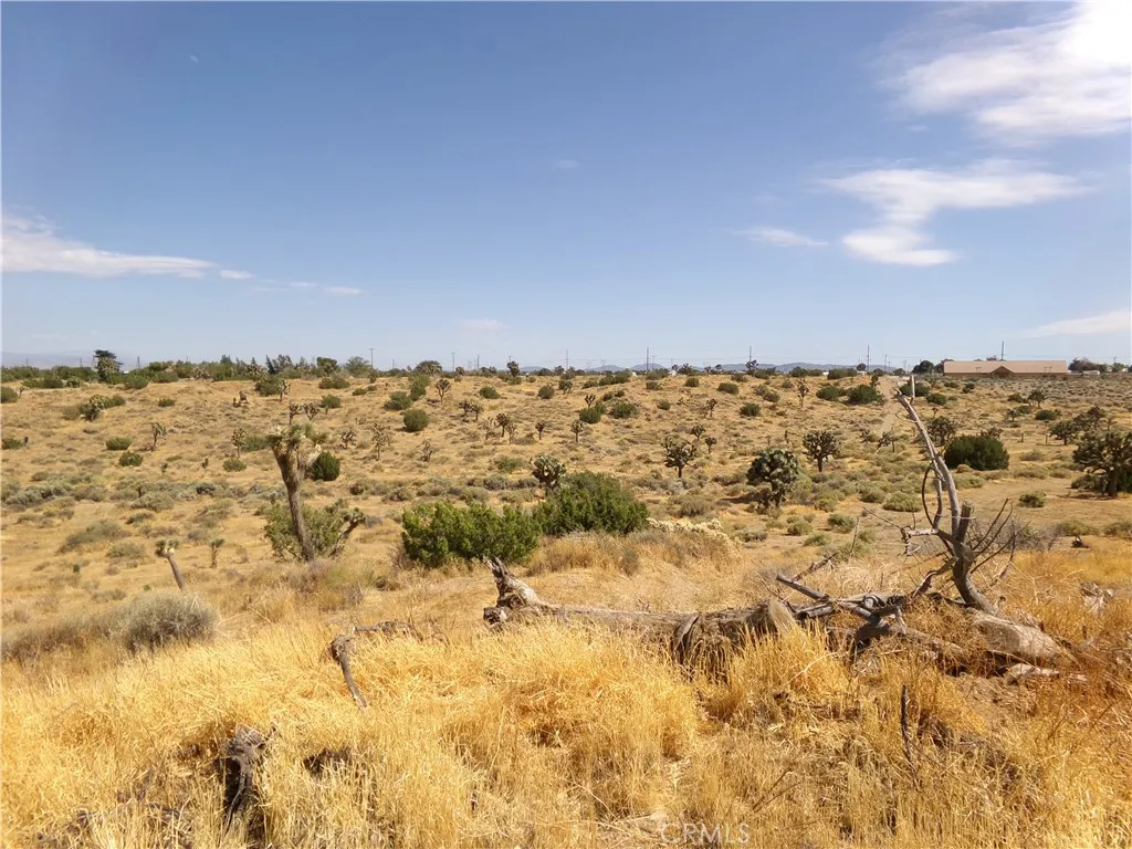 View From White Fox Trail