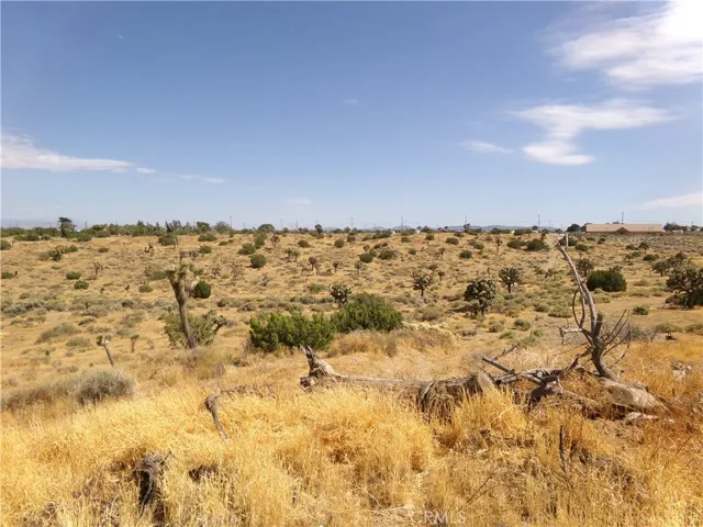 View From White Fox Trail