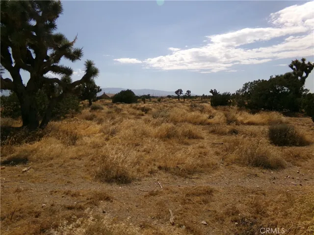 Typical topography