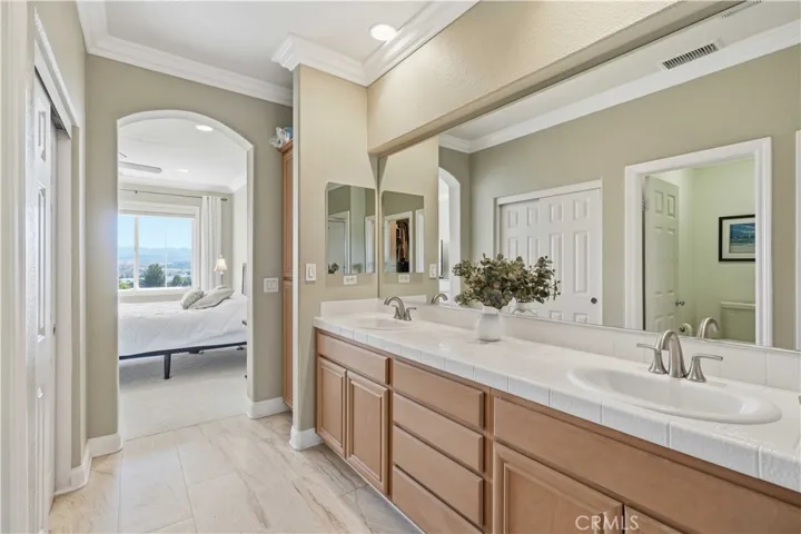 24382 Cavalini Place, Valencia, California 91355