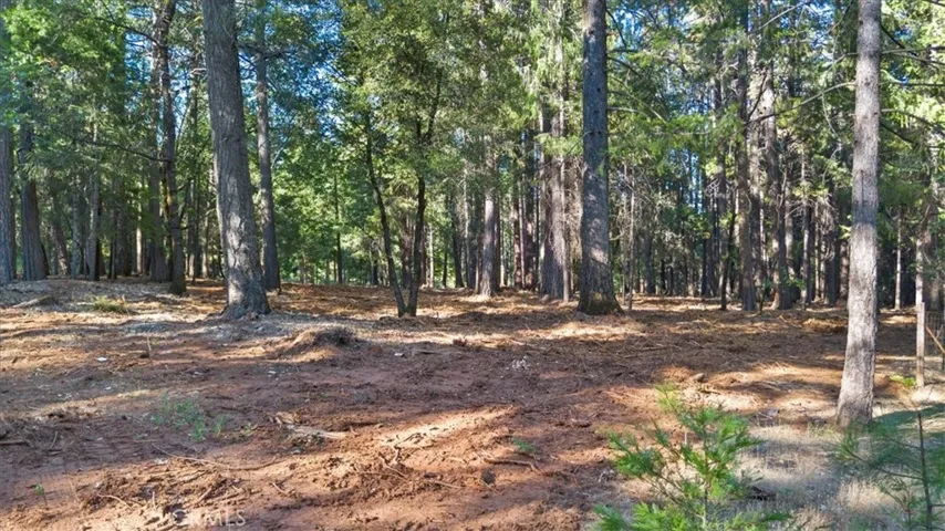 0 Nimshew Ridge, Magalia, California 95954