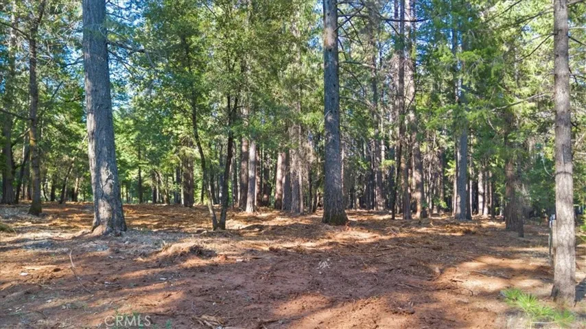0 Nimshew Ridge, Magalia, California 95954