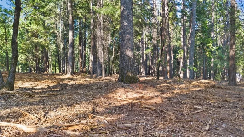 0 Nimshew Ridge, Magalia, California 95954