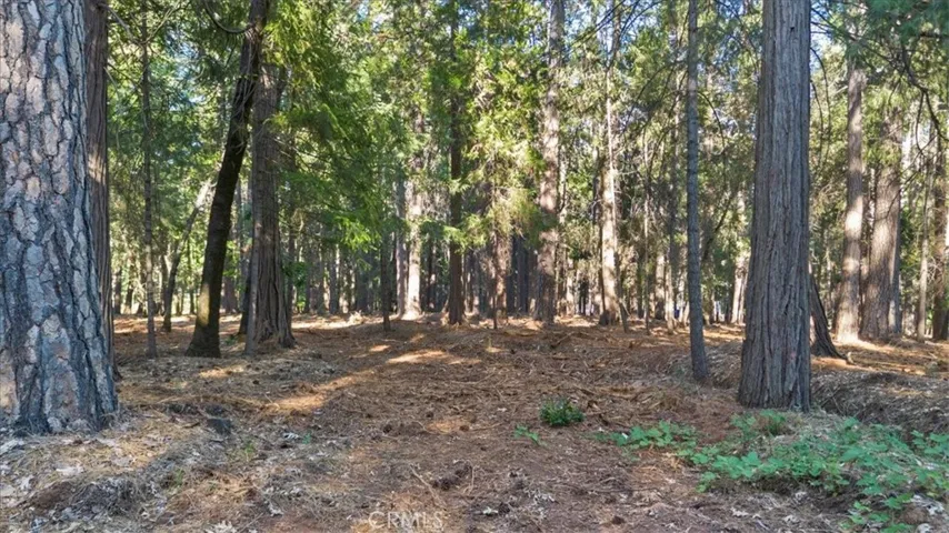 0 Nimshew Ridge, Magalia, California 95954