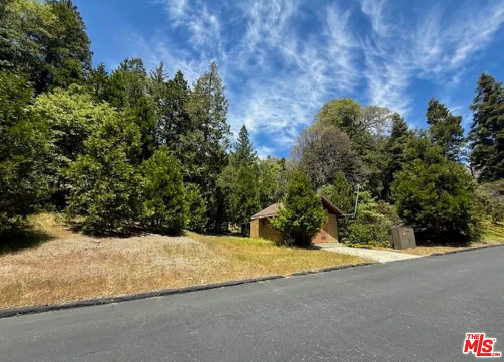 246 Cedar Ridge Dr