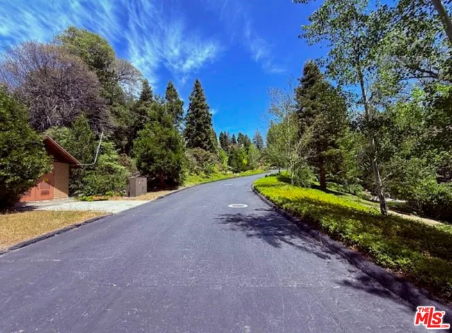 246 Cedar Ridge Drive, Lake Arrowhead, California 92352