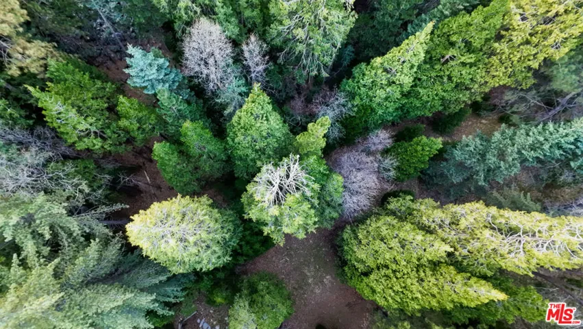 246 Cedar Ridge Drive, Lake Arrowhead, California 92352