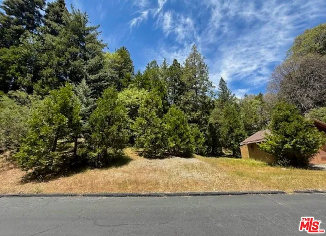 246 Cedar Ridge Drive, Lake Arrowhead, California 92352