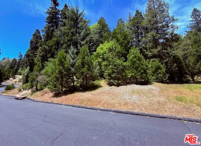 246 Cedar Ridge Drive, Lake Arrowhead, California 92352