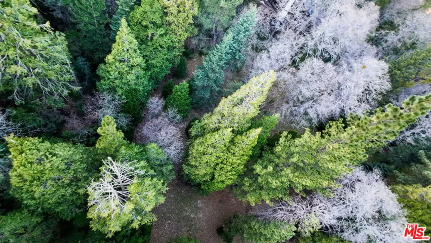 246 Cedar Ridge Drive, Lake Arrowhead, California 92352