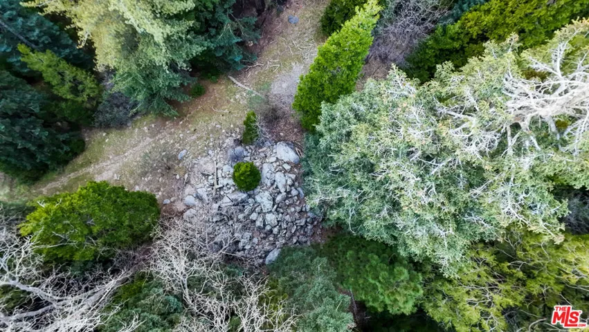 246 Cedar Ridge Drive, Lake Arrowhead, California 92352