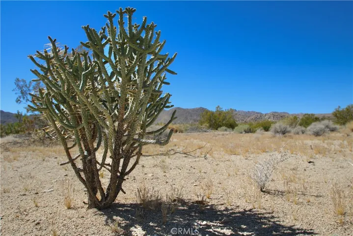 66400 29 Palms Highway, Joshua Tree, California 92252