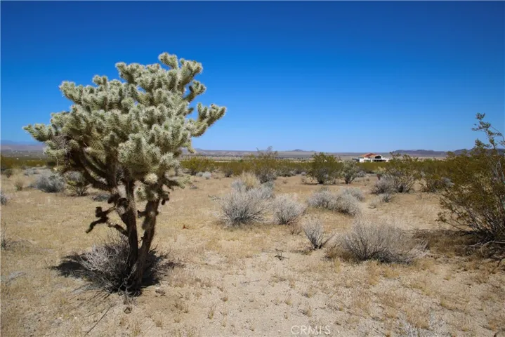 66400 29 Palms Highway, Joshua Tree, California 92252