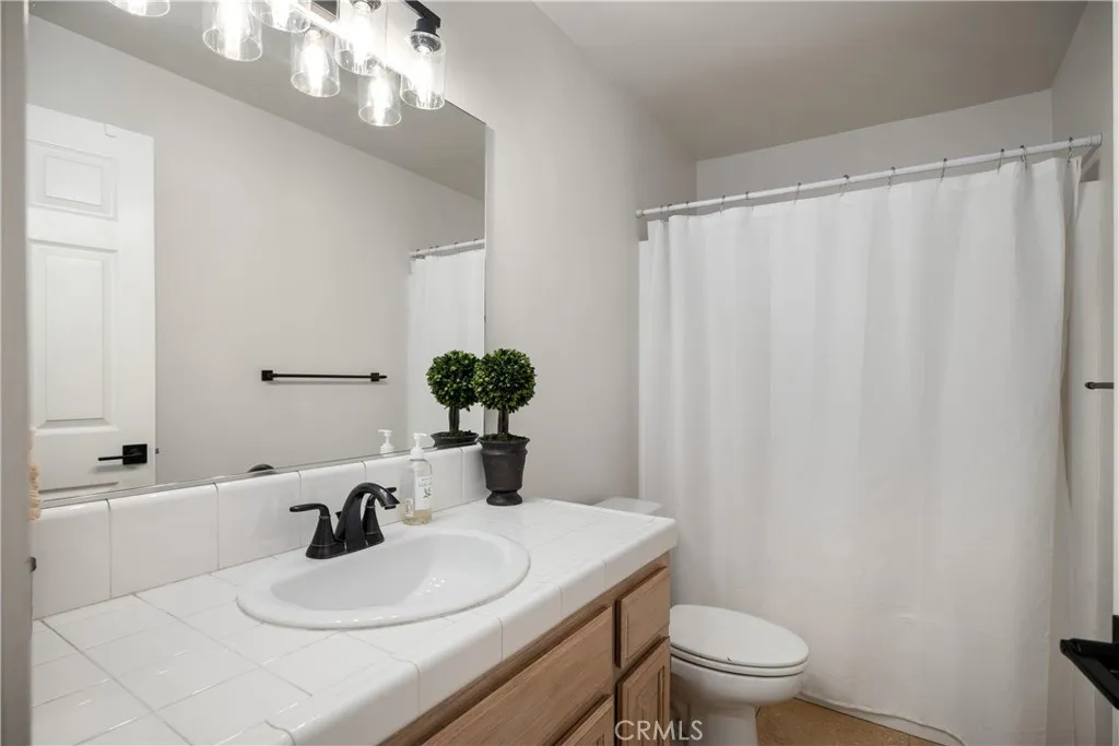 Lower level guest bathroom