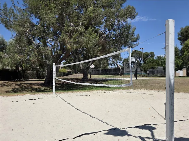 Community Sand Volleyball