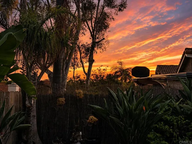 Sunset view