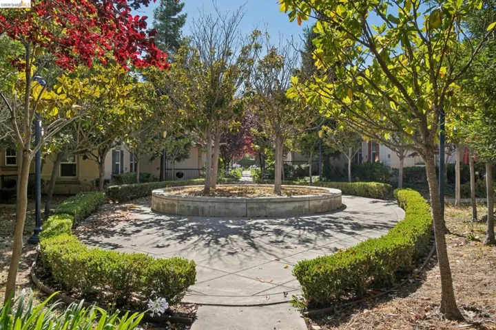 Landscaped common area featuring a circular planter with established trees, curved hedge borders, concrete pathways, and mature trees providing canopy