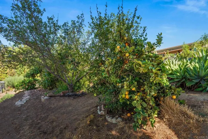 510 Burgasia Path, El Cajon, California 92019