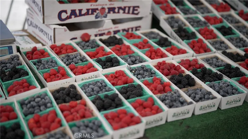 Local favorite Farmer's Market at Wilson Park Tuesdays and Saturdays