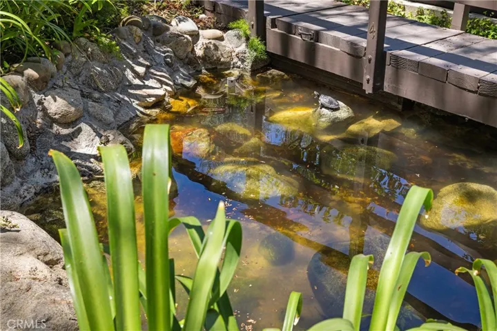 Tranquil streams attract adorable wildlife throughout Warner Village.
