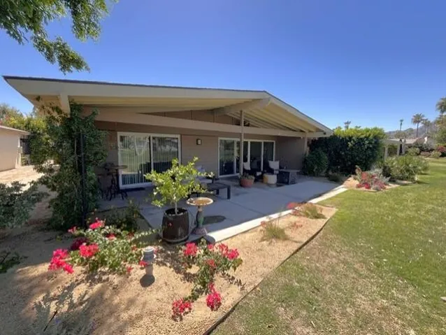 Rear Patio 1