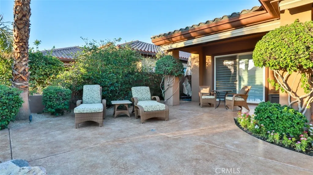 back yard