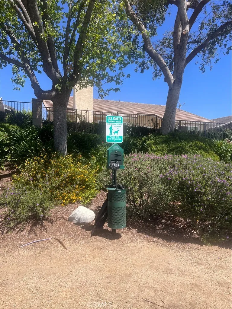 Dog Trails