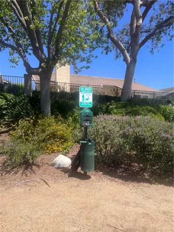 Dog Trails