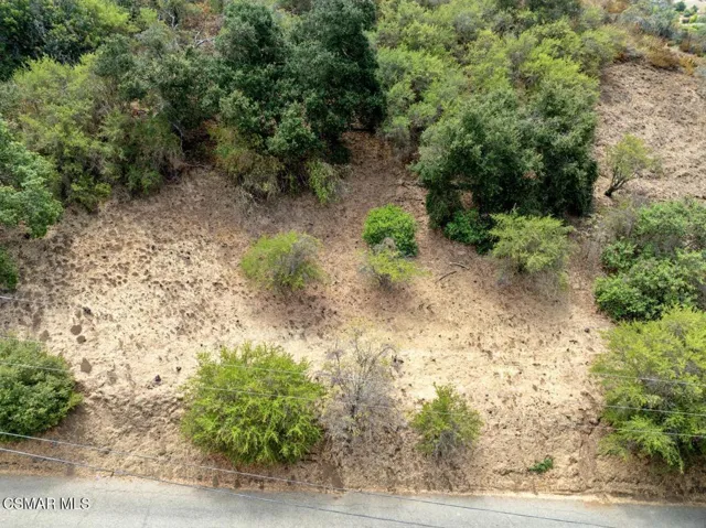 018-010-DJI 0641-1336x1000