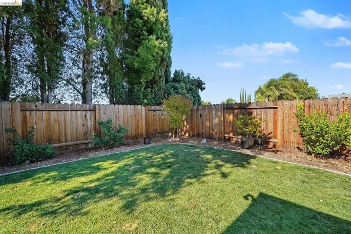 Expansive backyard featuring a lush lawn, wood privacy fencing, and surrounding mature trees and landscaping