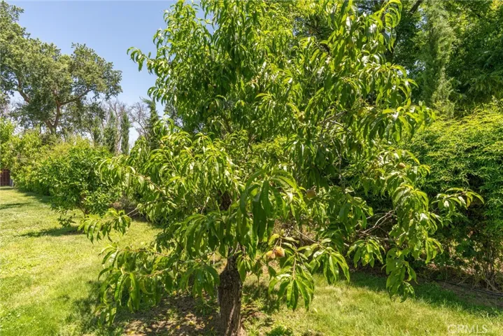 2034 Vista Lane, Durham, California 95938