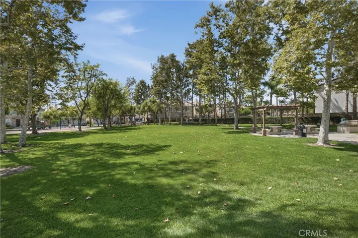 Lush green space